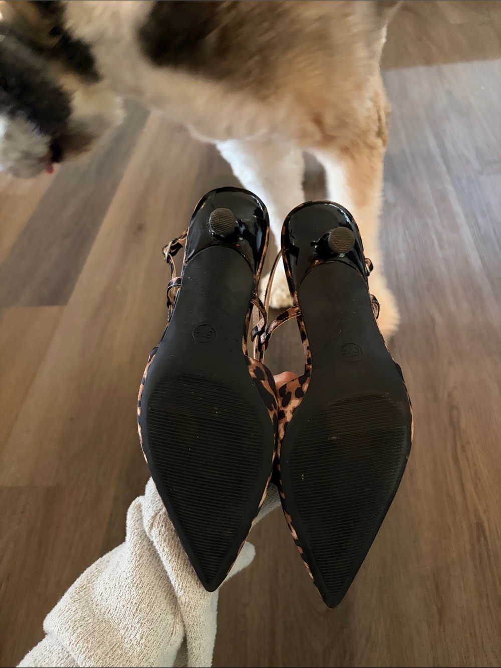a new day Leopard-Print Pointed Toe Slingback Heels - Black & Brown - Picture 3 of 3